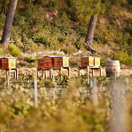 Chambre D'Hotes Chateau Gigognan Sorgues Εξωτερικό φωτογραφία