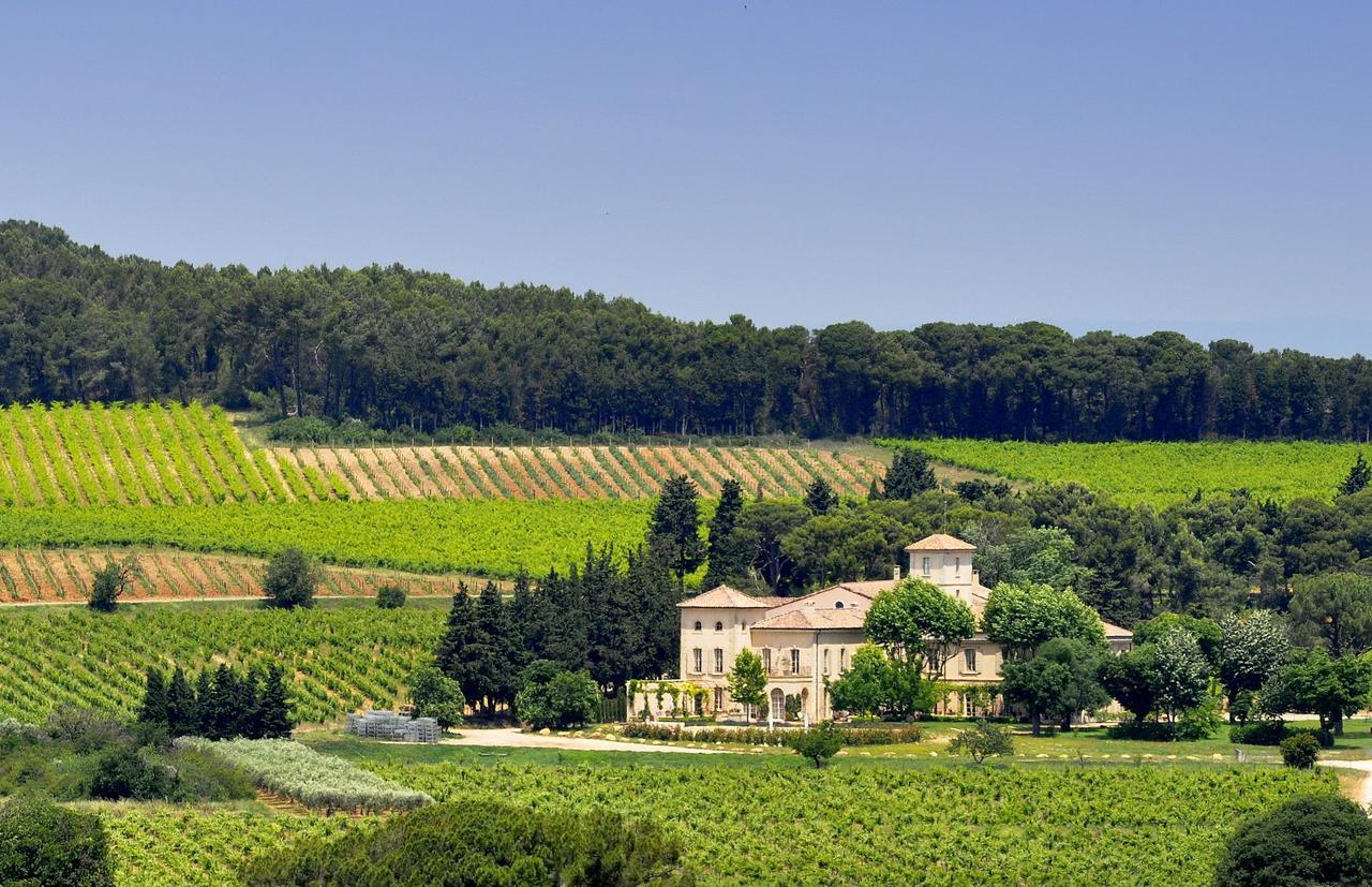 Chambre D'Hotes Chateau Gigognan Sorgues Εξωτερικό φωτογραφία